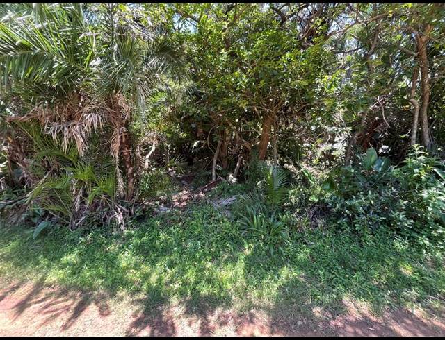 LAND FOR SALE IN PALM BEACH